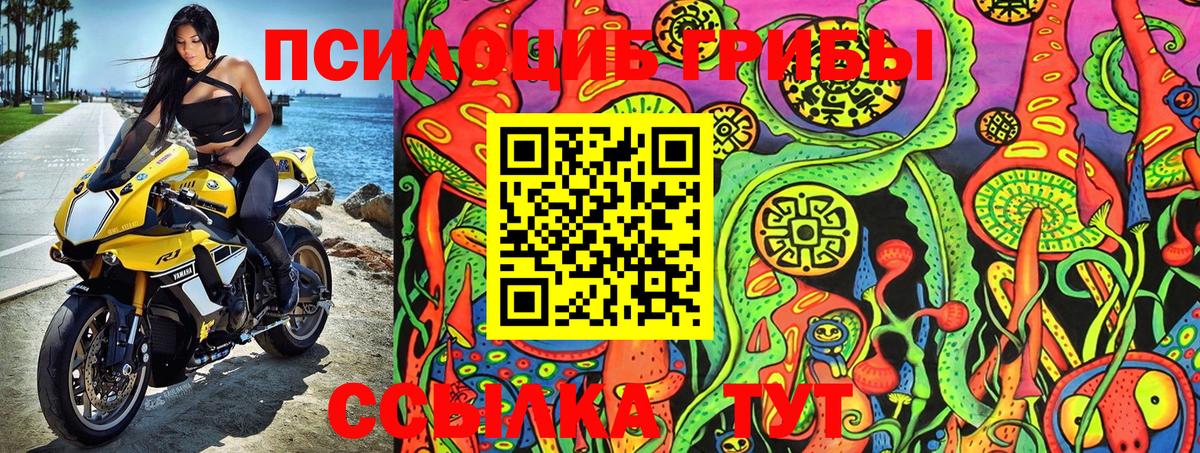 Псилоцибиновые грибы MAGIC MUSHROOMS Торжок