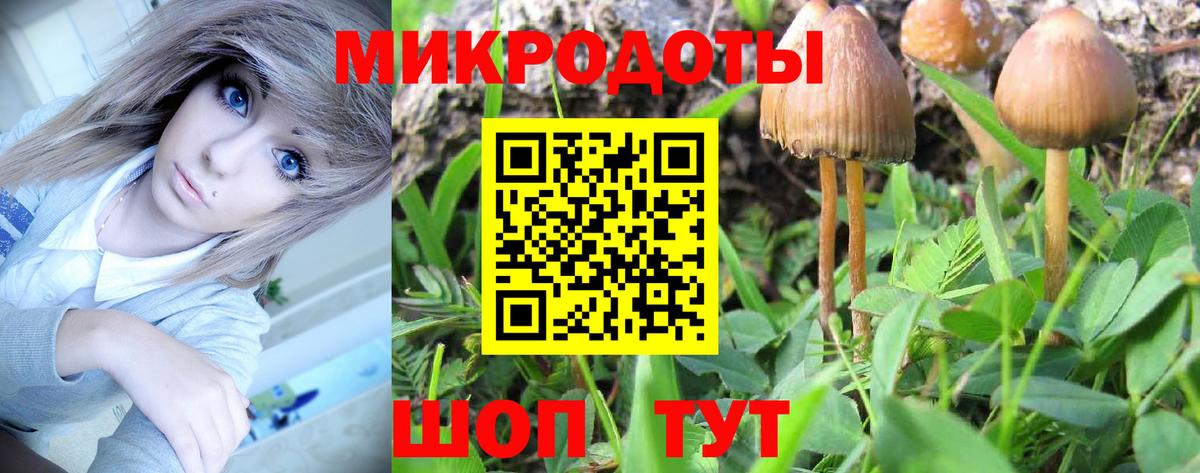 Псилоцибиновые грибы GOLDEN TEACHER  Вход с VPN  Торжок  купить наркоту  Галлюциногенные грибы Psilocybine cubensis 